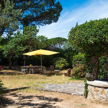 Charmante Petite Maison A L'Entree De Saint Tropez Экстерьер фото